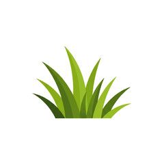 Fototapeta premium Fresh green grass illustration isolated on a white background, perfect for landscape design elements