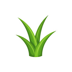 Obraz premium Isolated vector element of a lush green grass tuft symbolizing spring, ecology, and the natural outdoor environment