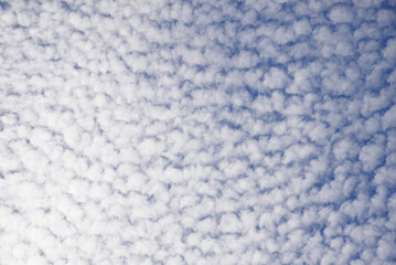 blue sky covered with small white clouds