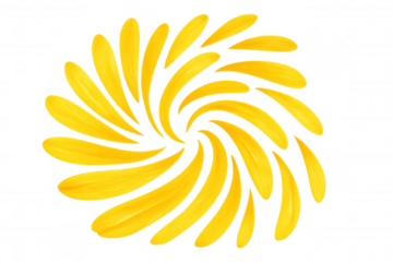 Vivid yellow flower petals spiraling dynamically, forming cheerful design element against transparent backdrop with summery, energetic visual impact