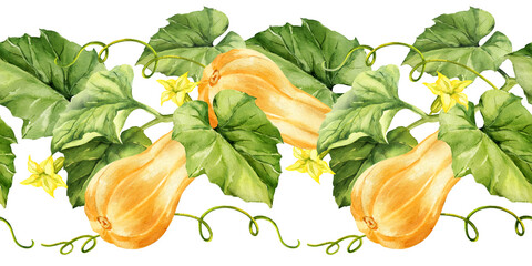 watercolor ripe beige pumpkins with green leaves, stems and yellow flowers, seamless border, autumn harvest illustration, hand drawn sketch, for Halloween, thanksgiving day, fall festival decoration