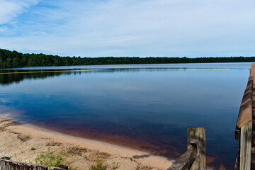 Jones Lake State Park, which has a dark color because of the tannic acids and decomposed plant...