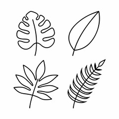 Minimalist Black Line Art Tropical Leaves Vector Icon Set Monstera, Palm, Banana, and Fern Bundle