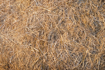 Brown dry straw textured background. Ecological and environmental concept. For graphic and banner design
