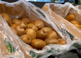 Close up of many green and golden kiwi fruits in basket at grocery store 