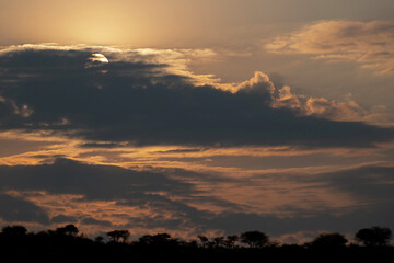 Lever du jour sur la savane en Namibie