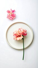 Pale pink flower on plate
