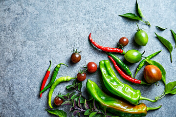 Organic homegrown peppers, tomatoes and herbs on gray stone background. Copy space