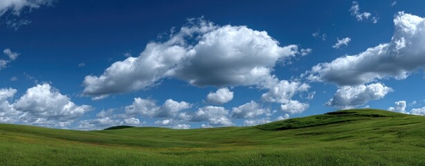 Vast grassy plains under a vibrant blue sky dotted with puffy white clouds