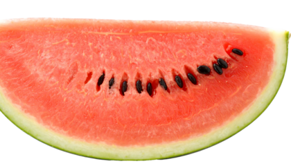 A fresh slice of juicy red watermelon isolated on a white background.