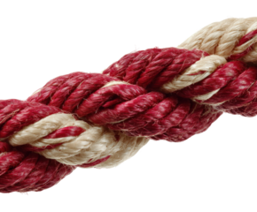 Rope knotting techniques workshop tutorial PNG, isolated on transparent background