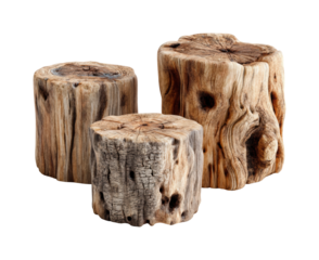 Wooden stumps arrangement natural PNG, isolated on transparent background