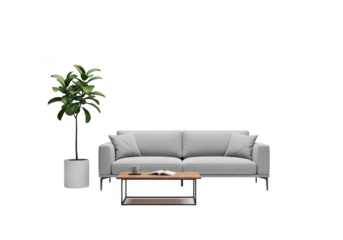 Modern living room sofa and coffee table arrangement with plant accent transparent background