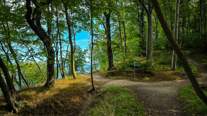 Wanderweg mit Aussicht am Hochufer Nordperd Göhren Rügen