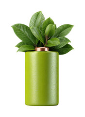 Decorative green vase with leaves nature PNG, isolated on transparent background