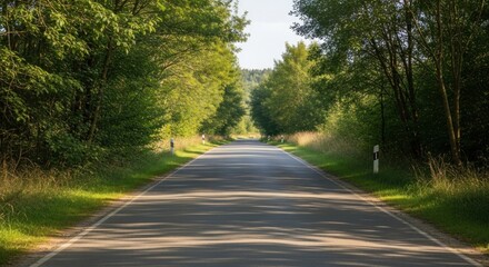 Obraz premium Tree-lined road disappears into distance, bathed in golden sunlight. Peaceful, green, and natural