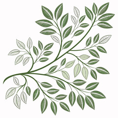 Minimalist Leaf Cluster Pattern 1