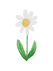 Childlike Watercolor Daisy with Textured Petals and Stem