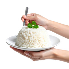 Two hands hold a white plate with a mound of fluffy white rice topped with a parsley sprig isolated on transparent background. PNG die-cut for advertising