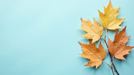 Autumnal Leaves on a Light Blue Background A Simple, Elegant Design for Seasonal Projects