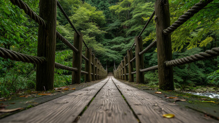 Fototapeta premium 深い森の吊り橋を正面構図で丁寧に撮影