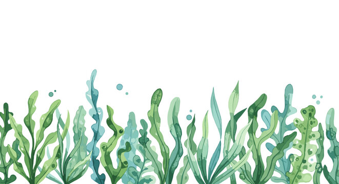 Watercolor vector illustration bottom border of seaweed on white background.