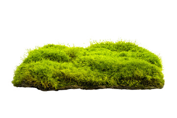vibrant green moss textured landscape isolated on white background