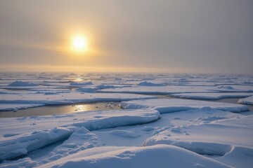 the blizzard rages over an icy tundra making snowflake crystals glisten on ice sheets reflecting the pale light of a winter sun in a vast snowy landscape.