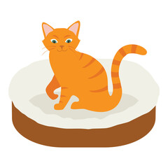 Ginger cat in his soft cozy bed cushion