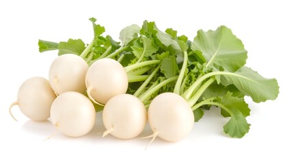 Fresh radishes with leaves