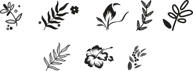 Flowers and Leaves Design Elements