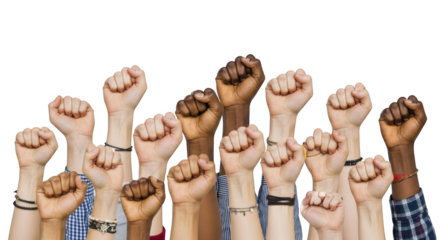 Diverse Hands Raised in Protest detailed illustration featuring tones, change, social, march, fight, together design concept for modern