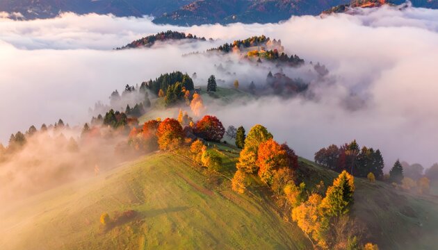 Fototapeta autumn landscape with some fog in the golden morning light