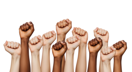 Multiracial Hands Raised in Protest and Solidarity detailed illustration featuring political, rights, activism, strength,