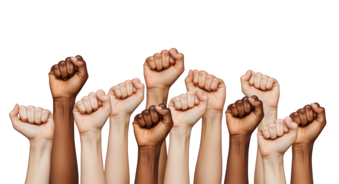Multiracial Hands Raised in Protest and Solidarity detailed illustration featuring political, rights, activism, strength,