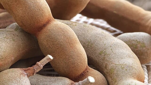 Tamarind fruits pods with leaves.