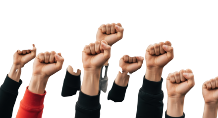 Raised Fists in Solidarity detailed illustration featuring fists, power, uprising, advocacy, resistance, rebellion design concept for modern creative