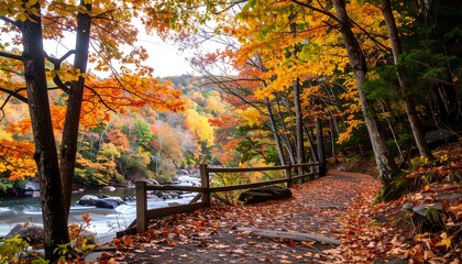 Autumnal River Trail: Vibrant Fall Foliage, Wooden Fence, and Flowing Water