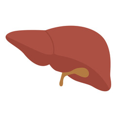 Brown liver with gallbladder, vital organ illustration perfect for medical or health education content.

