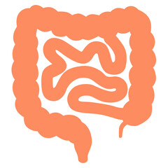 Orange intestines with coiled structure, digestive system illustration perfect for medical or biology education.