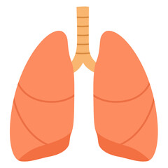 Side view of human lungs with trachea, respiratory organ illustration perfect for medical or biology education.