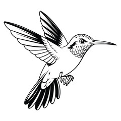 A detailed black and white hand-drawn illustration of a hummingbird in flight. The bird is shown with its wings spread, intricate feather details, and a long beak.
