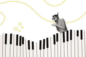 Composite artwork collage image picture of mini guy diving mask piano keys isolated on creative background