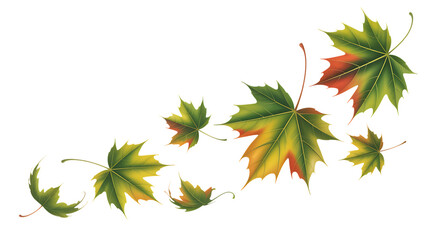 Vibrant autumn maple leaves falling gracefully against a dark backdrop, perfect for design.