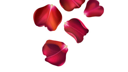 Floating red rose petals on black backdrop, perfect for romantic designs and elegant visuals