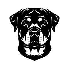 Rottweiler head portrait with transparent background
