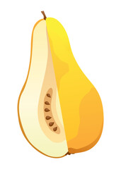 Yellow pear food cut half, piece, part and slice chopped of fruit. Harvest ripe fruit. Popular healthy garden food pear. Vector flat illustration