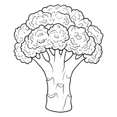 Broccoli Vegetable Illustration Colouring Page