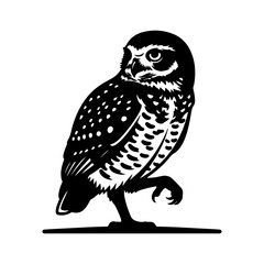 Stylized owl with transparent background
