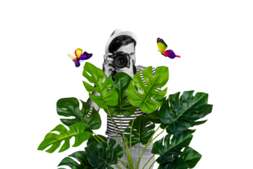 Composite photo collage of young guy paparazzi take photo camera vacation tropical palm butterfly nature isolated on painted background